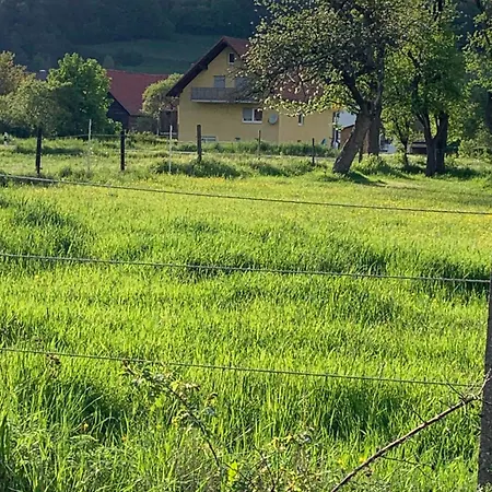 Pusteblume Daire Edertal