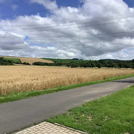 Pusteblume * Edertal